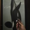 Orca (Orcinus orca)