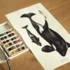 OLYMPUS DIGITAL CAMERA Orca (Orcinus orca) La matriarca