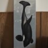 Orca (Orcinus orca)