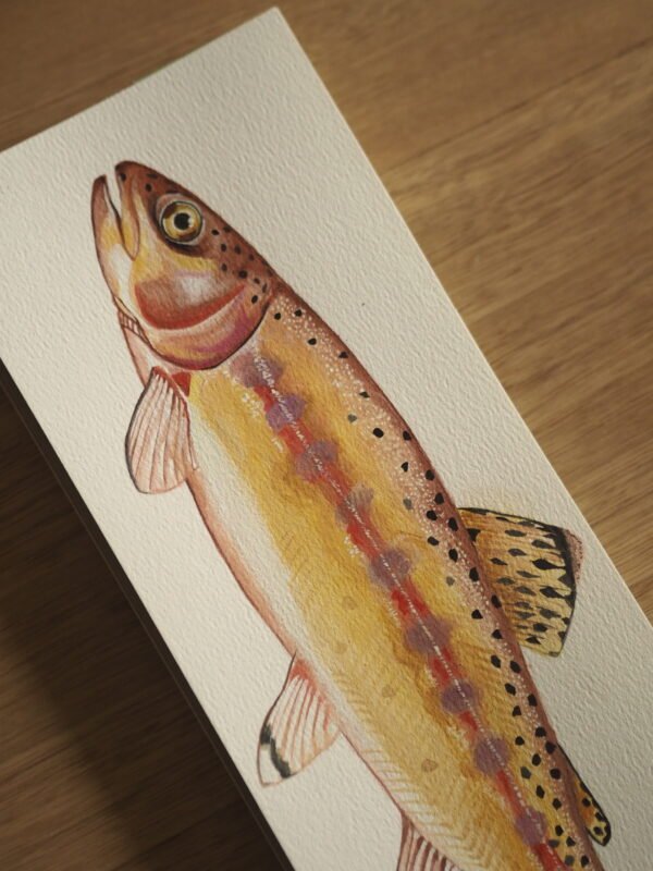 Trucha dorada (Oncorhynchus aguabonita)